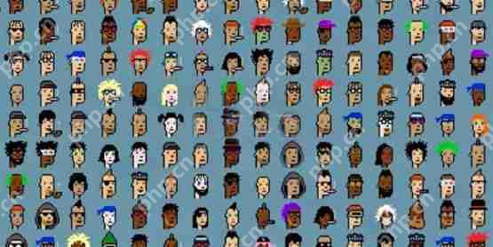 NODE基金会收购Yuga Labs旗下NFT CryptoPunks：将延续赛博朋克精神导读